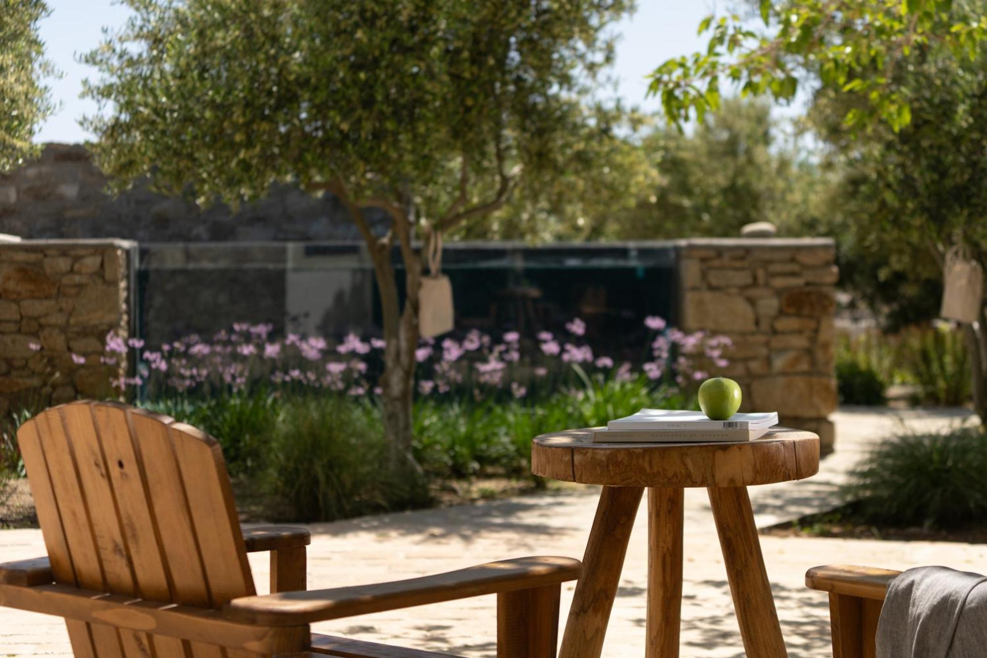 Ikies Of Mykonos Bed and Breakfast Mykonos Town Εξωτερικό φωτογραφία