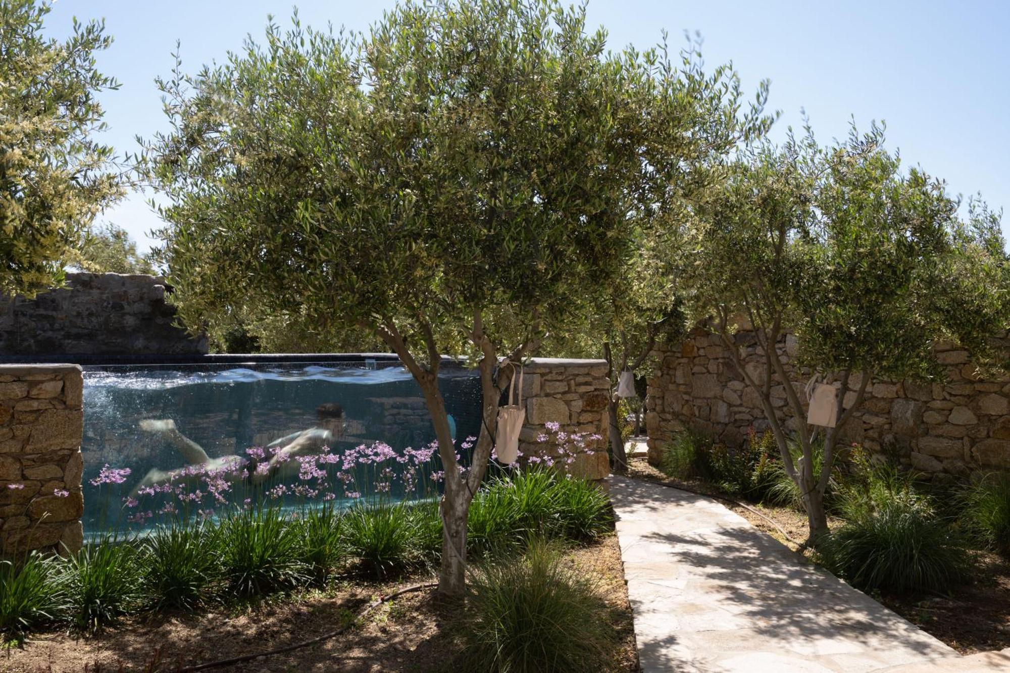 Ikies Of Mykonos Bed and Breakfast Mykonos Town Εξωτερικό φωτογραφία